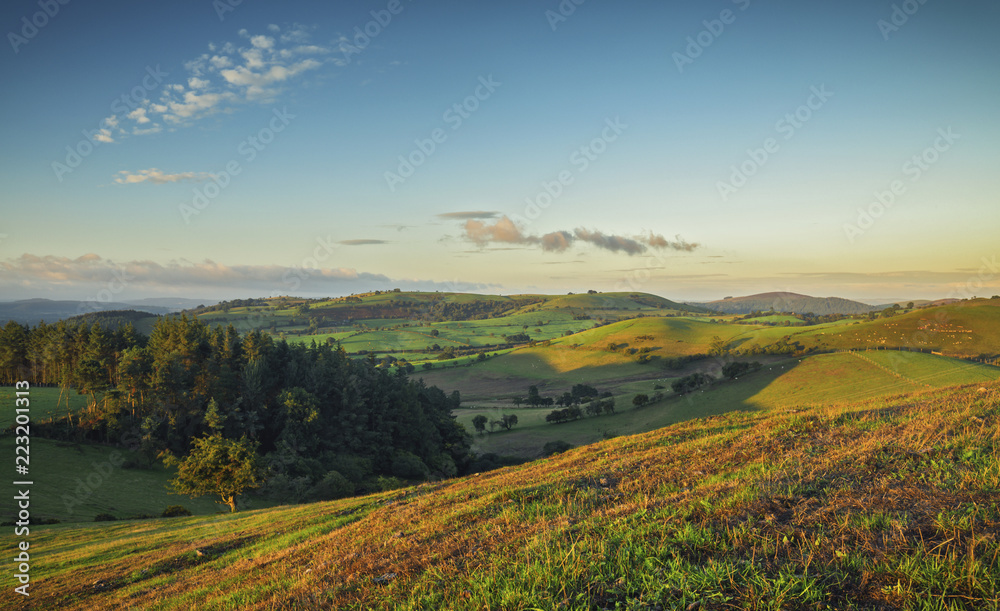 Scenic Green Hills of British Countryside