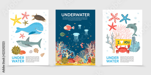 Flat Colorful Underwater Life Brochures