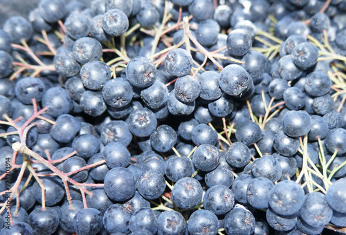 blueberry vitamin crush good food for you