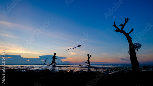 Boys running with their kite on beach