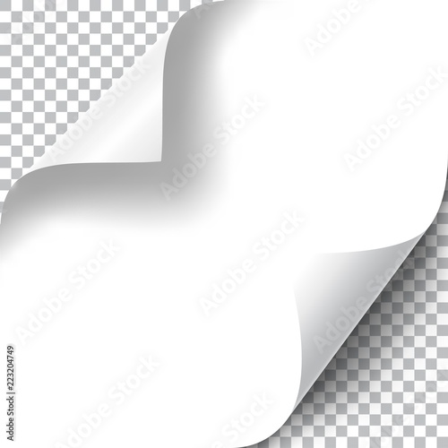 Curly Page Corners set