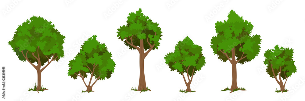 Obraz premium Wektor zestaw drzew