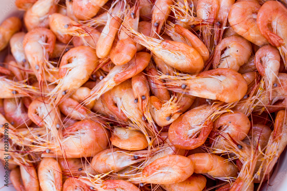 boiled red shrimp on white plate