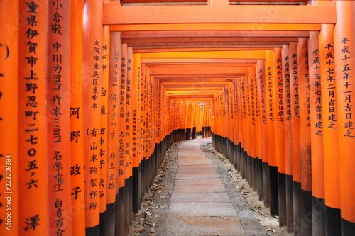 tori gate in kyoto