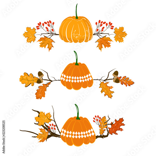 Autumn season element with pumpkin, maple and oak leaves, akorn and red berries, dry branch. Fall decoration element for cards and seasonal decor. Isolated on white background photo