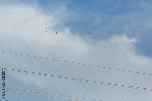View with two small birds on power lines