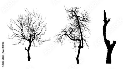 set of dead tree isolated