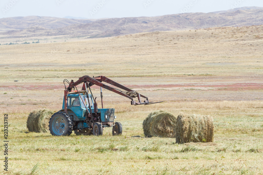 Fototapeta premium tractor unloads bales of hay in the field