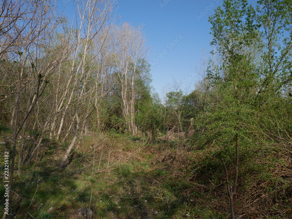 landscape landscape
