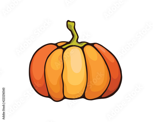 Vector Halloween pumpkin. Vegan food illustration.