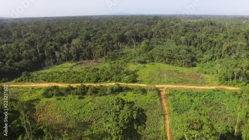 Aerial view of lush green forest in Kribi in Cameroon, west Africa. Drone moves sideways (pan) aloing dirt road. Sky showing over tree line. photo