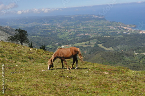 Paisaje montaña y caballo © VANESA