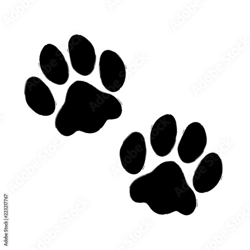 Vektor Pfoten Hund/Katze