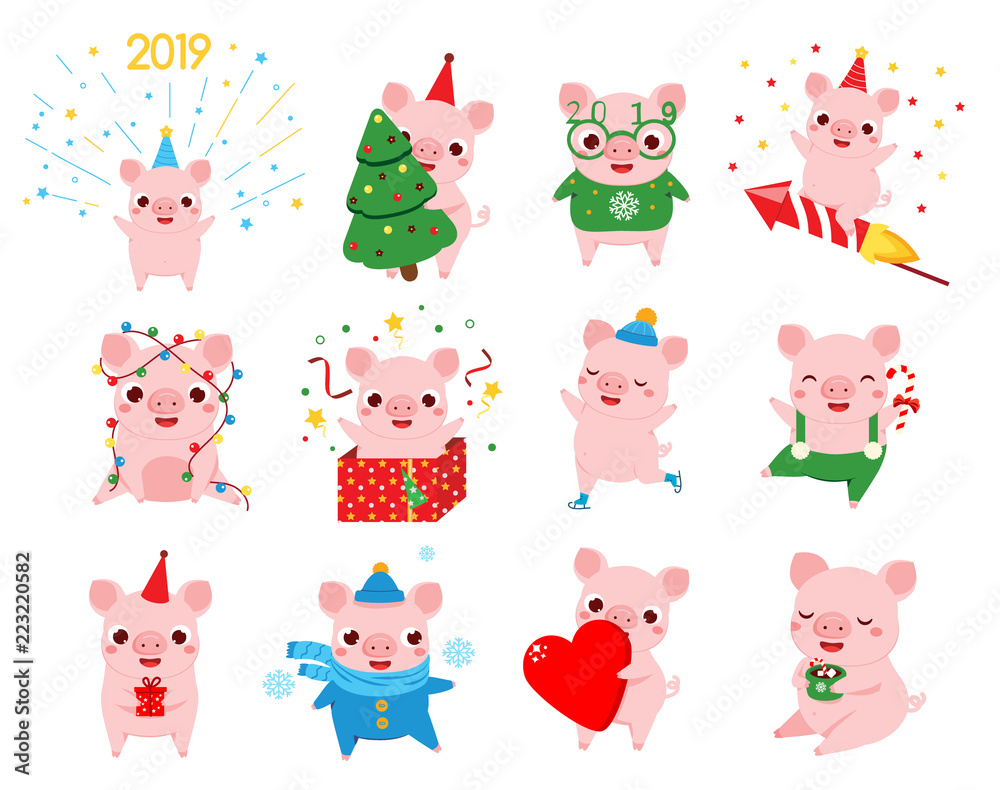 Cartoon pig, symbol of chinese 2019 new year in different poses. Big set of pig characters for seasonal greetings