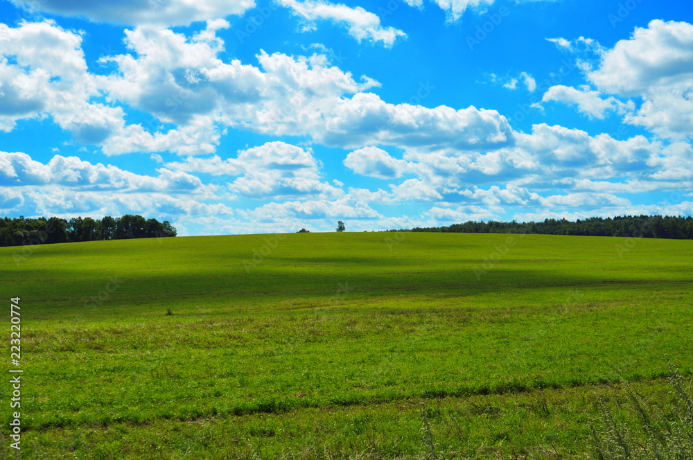 green field and blue sky