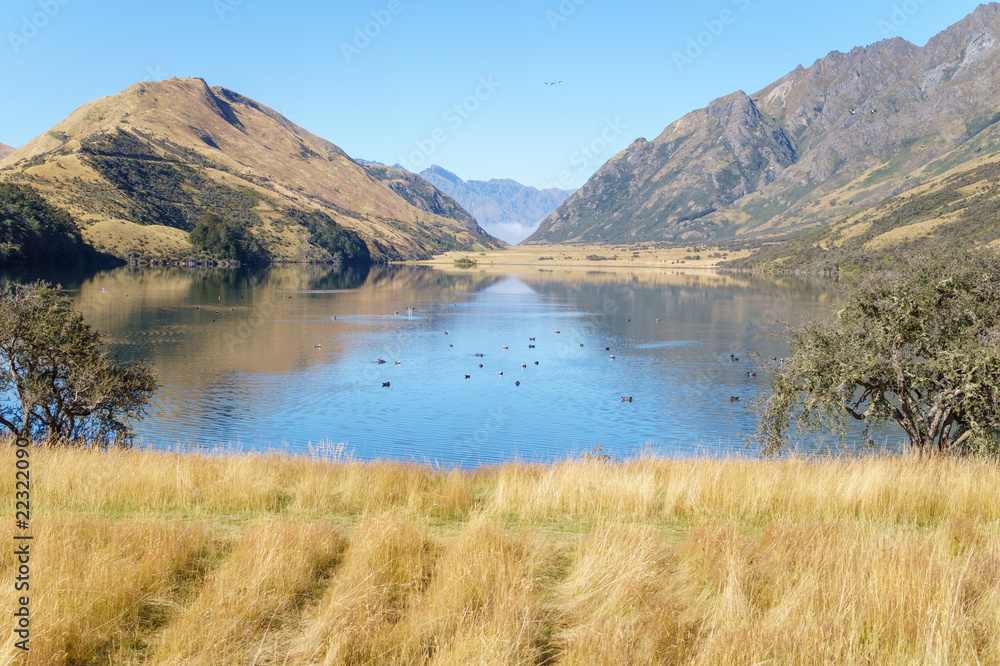 Calm lake in mountain scenery, summer 