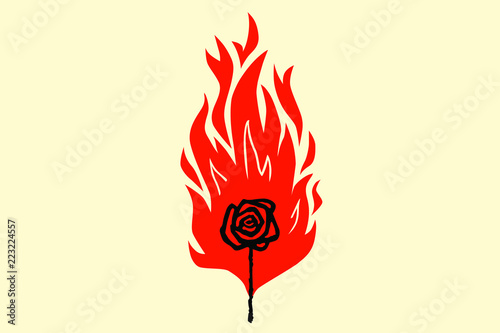 the rose in the flame of a match