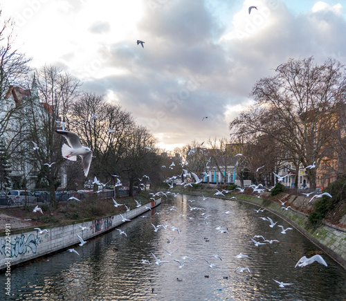 At the Landwehrkanal in Berlin-Kreuzberg, Germany
