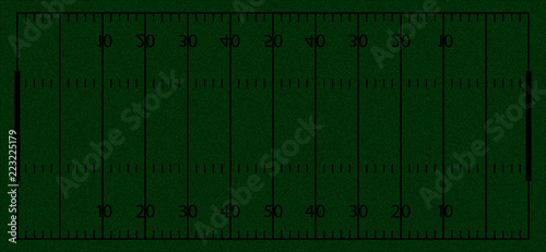 American football field. Vector