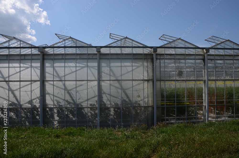 The greenhouses of the vegetable garden in the canton of Geneva in Switzerland.