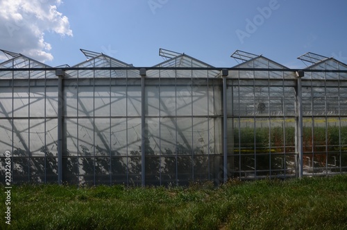 The greenhouses of the vegetable garden in the canton of Geneva in Switzerland. © Franck Schneider