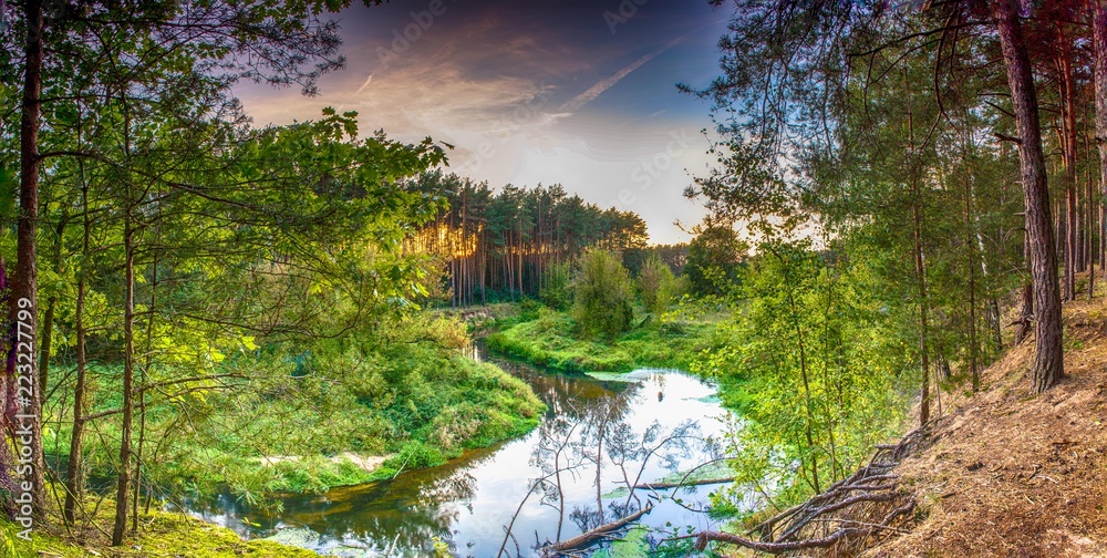 Fototapeta premium Las i rzeka oświetlone letnim słońcem