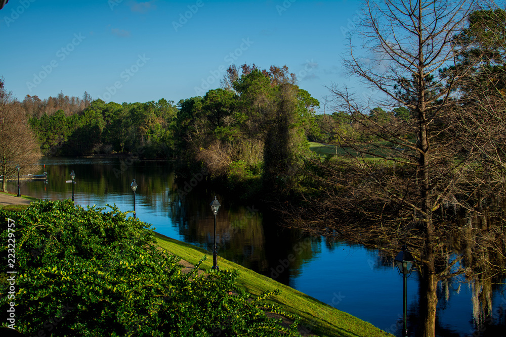 Fototapeta premium lake in the park