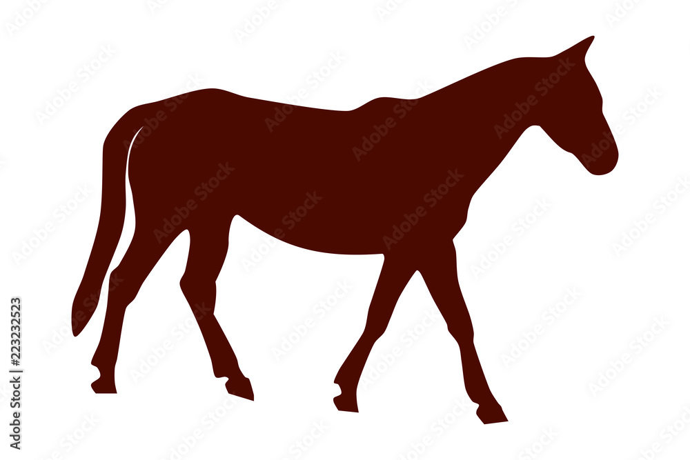 Vector illustration of a brown horse isolated in a transparent or white background. The body of a horse.