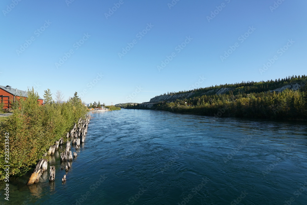  Whitehorse,Canada-September 10, 2018: Yukon River flowing in Whitehorse, Canada in September