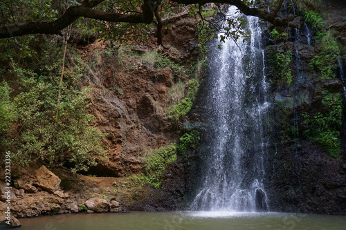 The waterfall in Ngare Ndare Forest  Nanyuki  Kenya