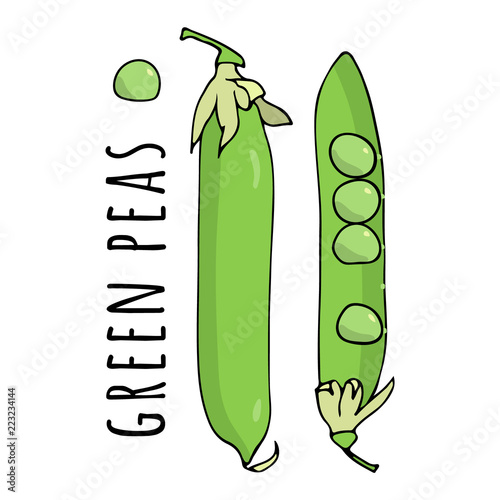 Pea pods and green peas. Vector illustration. Cartoon style.
