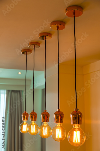 Single-head screw caps big industrial style hotel individuality clothing store decoration Edison light bulb shop gold chandelier.