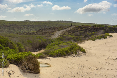 View of the an arid landscape