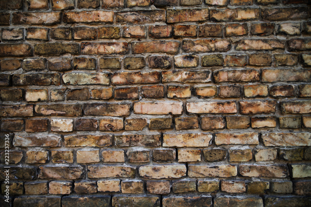 Obraz premium Ściana