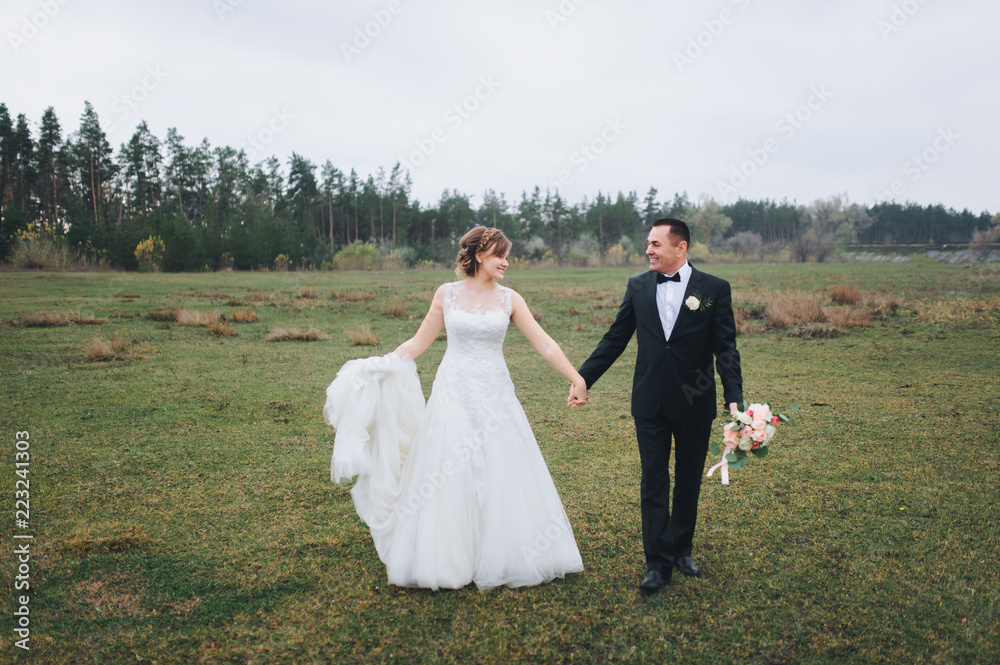 Beautiful and stylish newlyweds are walking, holding hands over a green field in the background of the forest. A wedding portrait of an adult groom in a black suit and a cute bride in a lavish dress.