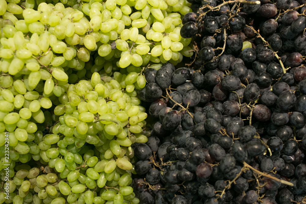 juicy ripe grapes in the hands of a woman in the supermarket juicy ripe grapes in the hands of a woman in the supermarket