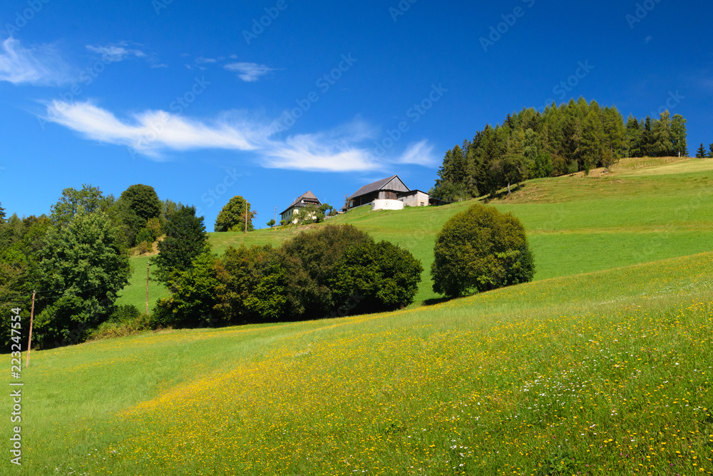 Obraz premium Beautiful landscape in a hiking trail in Austria
