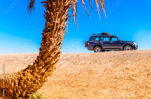 Fototapeta Naklejka Na Ścianę i Meble -  Palm and SUV in the desert of Morocco next to M'hamid