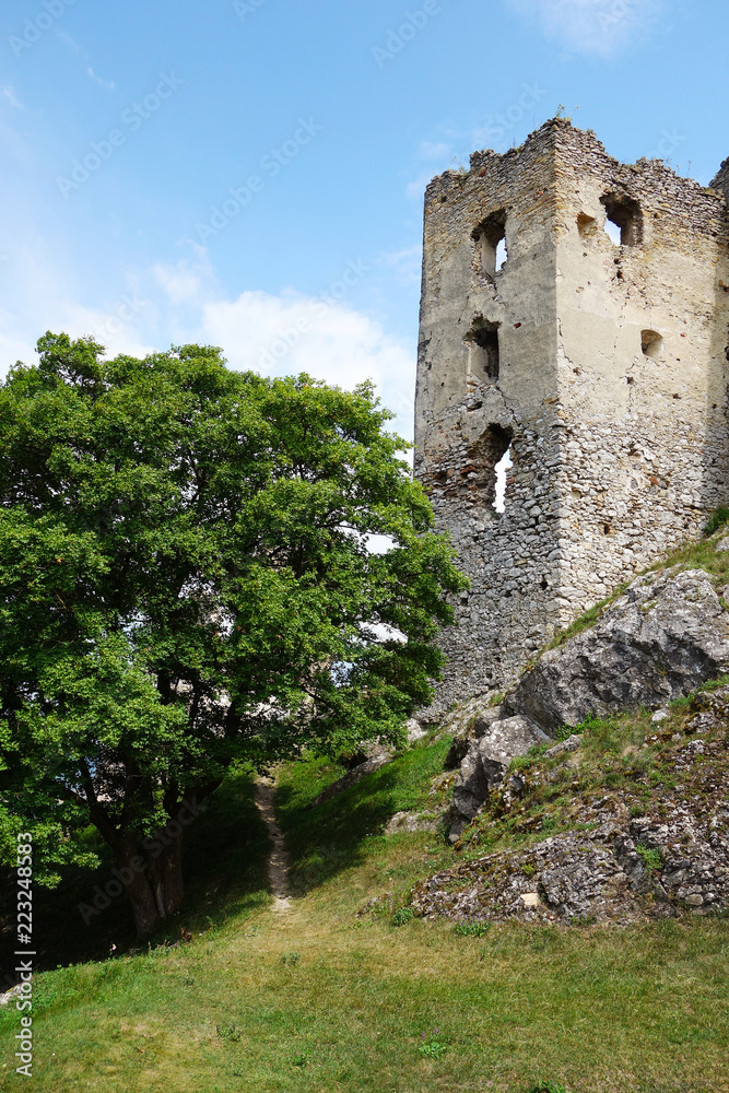 Ruins of Brekov Castle, Slovakia