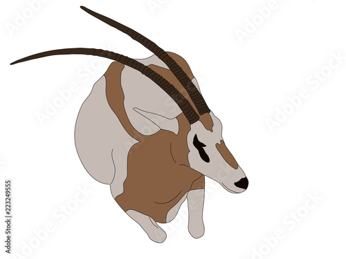Digitally Handdrawn Illustration of a wildlife antelope --- isolated on white background