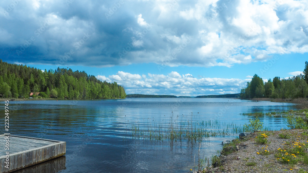 view of päijänne lake in summer with trees, landing stage and flowers