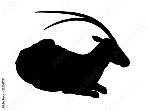 Digitally handdrawn Silhouette of a antelope isolated on white background