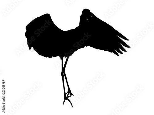 Digitally handdrawn Silhouette of a stork isolated on white background
