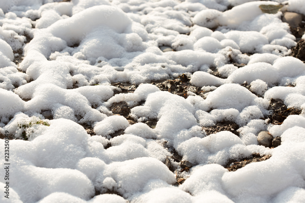 snow on the ground in nature