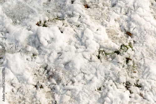 snow on the ground in nature