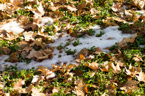 Background with green grass and snow on the ground