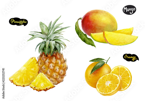 Fototapeta Naklejka Na Ścianę i Meble -  orange pineapple mango watercolor hand drawn illustration set