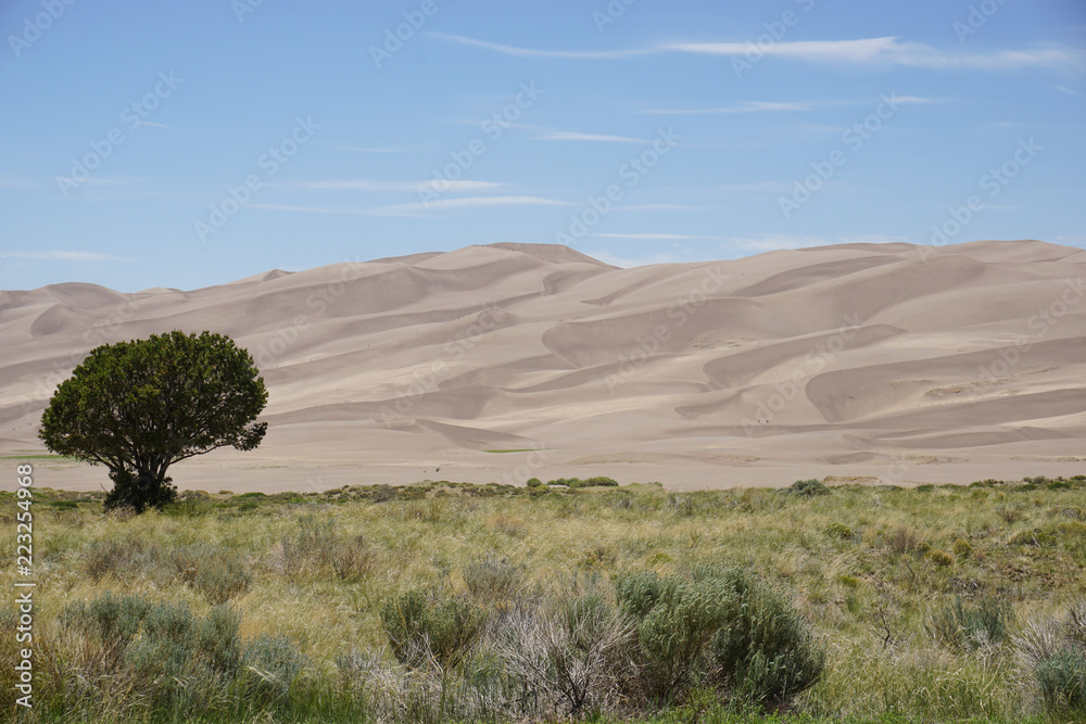 Fototapeta premium Sand dunes