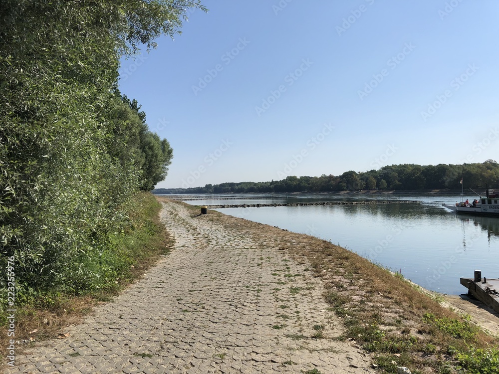 Rhein bei Neuburg, Rheinfähre