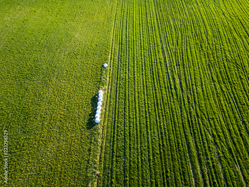Drone Photo of the Hay Rolls in The Dandelion Field